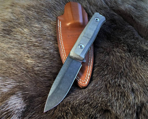 3810 Lion Steel B40 CVG фото 7