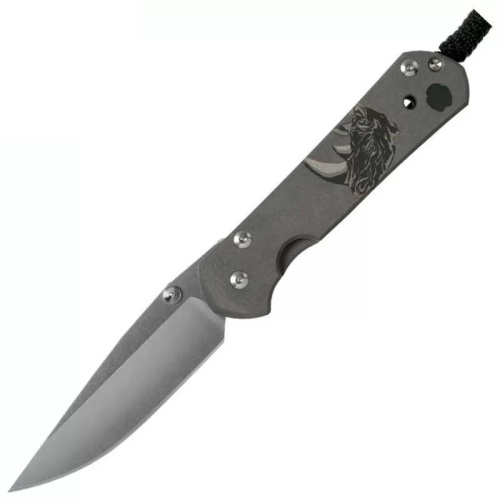 Складной нож Chris Reeve Large Sebenza 21 Складной нож Chris Reeve Large Sebenza 21