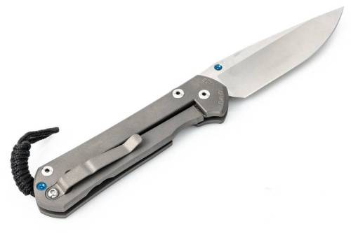 3810 Chris Reeve Large Sebenza 21 Polished Blade фото 7