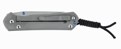 Складной нож Chris Reeve Large Sebenza 21 Insingo фото 4 Складной нож Chris Reeve Large Sebenza 21 Insingo фото 4