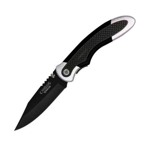 3810 Camillus Chameleon