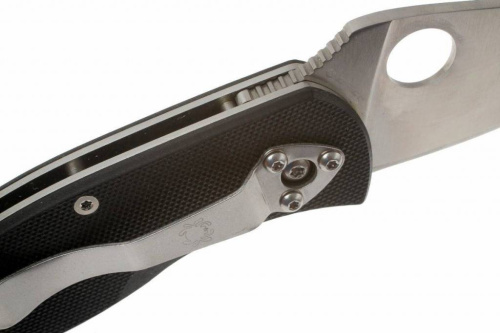 Складной нож Spyderco Ambitious 148GP фото 12
