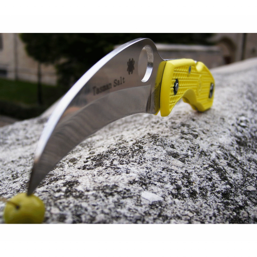 Складной нож Spyderco Tasman Salt™ 106PYL фото 24 Складной нож Spyderco Tasman Salt™ 106PYL фото 24