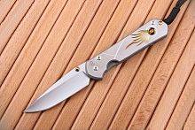 Складной нож Chris Reeve Large Sebenza можно купить по цене .                            